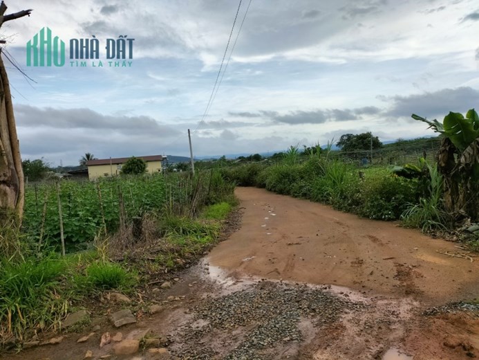 Sở Hữu Ngay Lô Đất Vị Trí Đắc Địa Tại Xã Phú Hội Huyện Đức Trọng,  Lâm Đồng