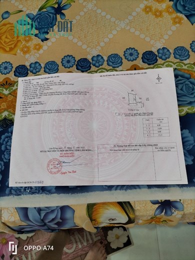 Sở Hữu Ngay Lô Đất Vị Trí Đắc Địa Tại Xã Phú Hội Huyện Đức Trọng,  Lâm Đồng