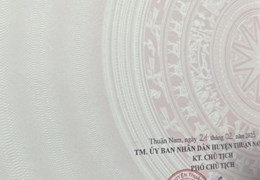 Sở Hữu Ngay Lô Đất Vị Trí Đắc Địa Tại Xã Phước Nam, Thuận Nam, Ninh Thuận