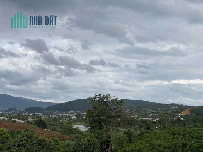 Chỉ 775Tr có ngay 1000m2 tại Nam Ban, gần nhựa. Tặng 500m thổ cư. Đường betong oto thông liên huyện