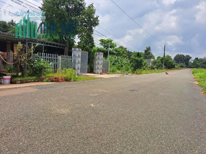 Vợ chồng mình kẹt tiền muốn bán mảnh đất 200m2 có 100m2 thổ cư. Sổ hồng riêng