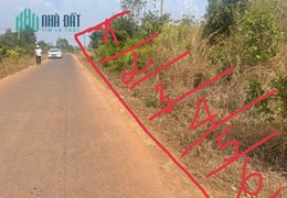 Bán Đất Đak Lak, Krong Buk, 530m2, Full Hồng, 199tr,