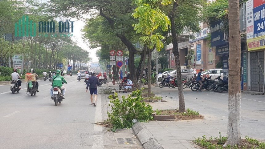 Bán 300m2 nhà mặt phố Liễu Giai Ba Đình Hà Nội.
