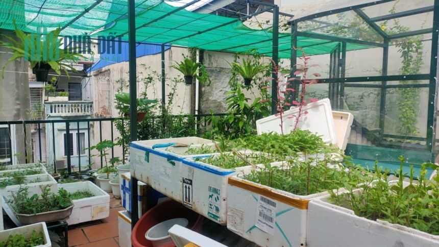 CC cần bán nhà,  Phố Tôn Đức Thắng, Đống Đa, 65 m2, 4 tầng, MT 4.0 m, nhỉnh 5 tỷ