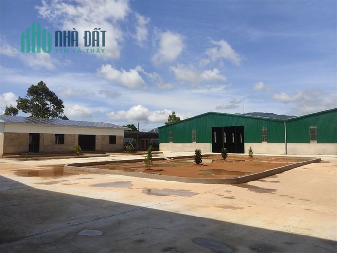 bán hoặc cho thuê nhà xưởng DT 27.000m2 Điện Năng lượng. giá phù hợp Quý Doanh Nghiệp