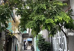 BÁN NHÀ QUẬN 7 40M RA MẶT TIỀN ĐƯỜNG 37 LÂM VĂN BỀN KHU TIỆN ÍCH