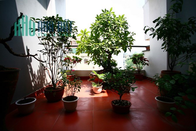 Bán nhà hẻm đường số 8, gần Lotte Quận 7, 55m2,  chưa tới 5 tỷ