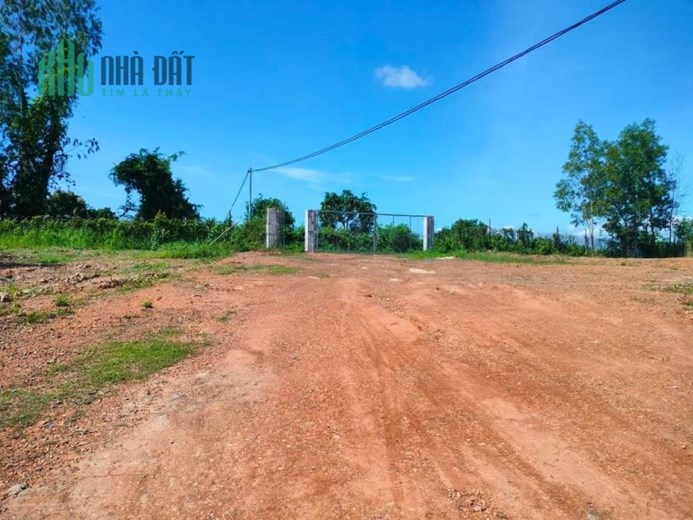 Siêu trang trại 18ha Ninh Thượng, Ninh Hòa giá rẻ