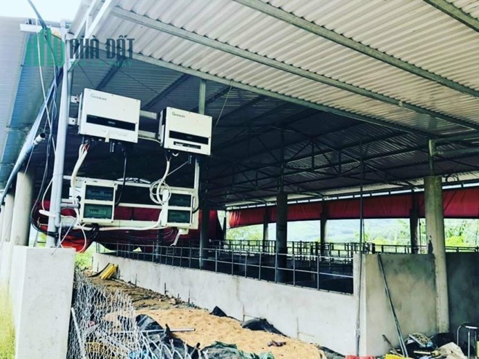 Siêu trang trại 18ha Ninh Thượng, Ninh Hòa giá rẻ