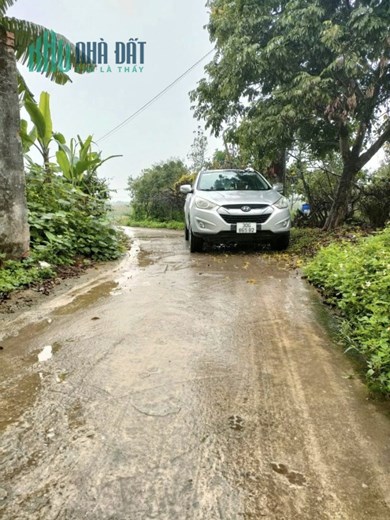 Bán đất 54.5m xóm Gà Cổ Loa Đông Anh đường ô tô giá 2Xtr