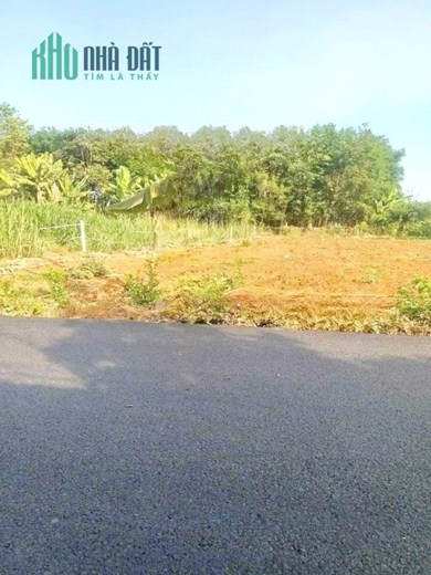 ⛔ Bán mặt tiền Nhựa Nhánh HL3 thuộc Long Phước, Tp Bà Rịa.