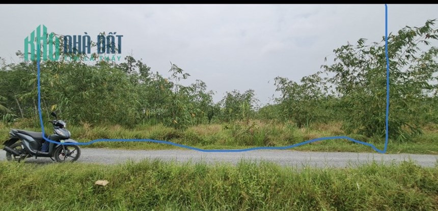 bán đất hậu dài 102m, giá chỉ từ 550tr ở xóm bố, tây ninh