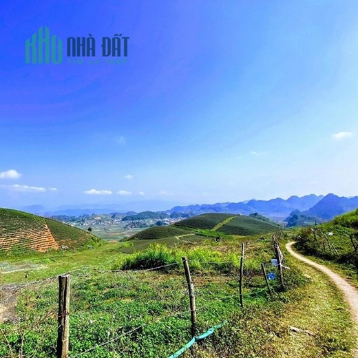 Cần bán lô đất rộng 6400m2 ở gần trung tâm xã Tân Lập Mộc Châu