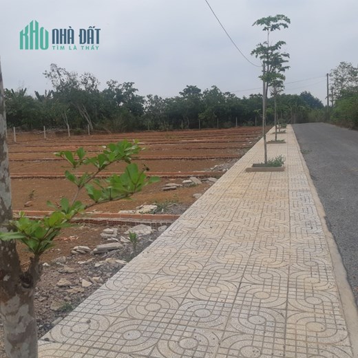 Bán gấp 114m2 đất thổ cư Hưng Lộc,Thống Nhất,Đồng Nai chỉ cần 420 triệu