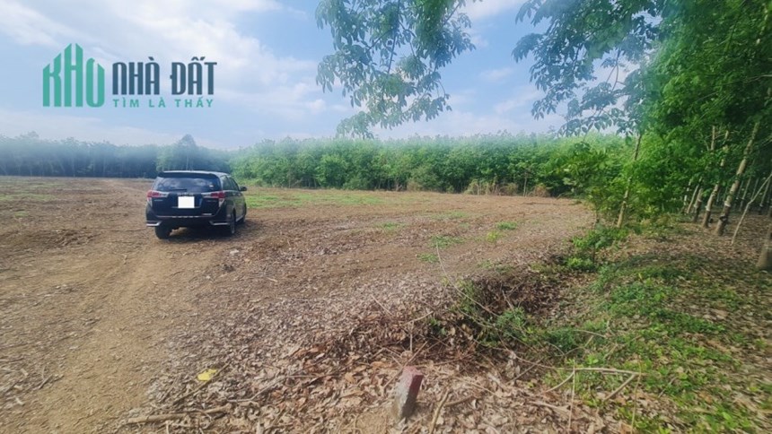 BỎ MỘT VÀI TRĂM TRIỆU ĐỂ 1 THỜI GIAN LẠI CÓ TIỀN TỶ MÀ KHÔNG CẦN LÀM GÌ CHỈ CÓ THỂ LÀ MUA ĐẤT!!