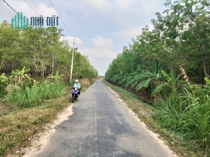BỎ MỘT VÀI TRĂM TRIỆU ĐỂ 1 THỜI GIAN LẠI CÓ TIỀN TỶ MÀ KHÔNG CẦN LÀM GÌ CHỈ CÓ THỂ LÀ MUA ĐẤT!!