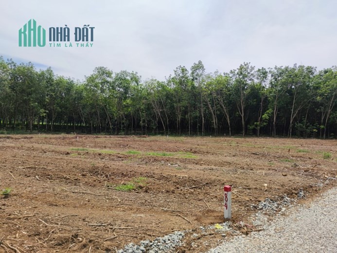 TẠI SAO ĐẤT NÔNG NGHIỆP ĐANG TRỞ THÀNH 'MỎ VÀNG' MỚI CỦA NHÀ ĐẦU TƯ THÔNG MINH