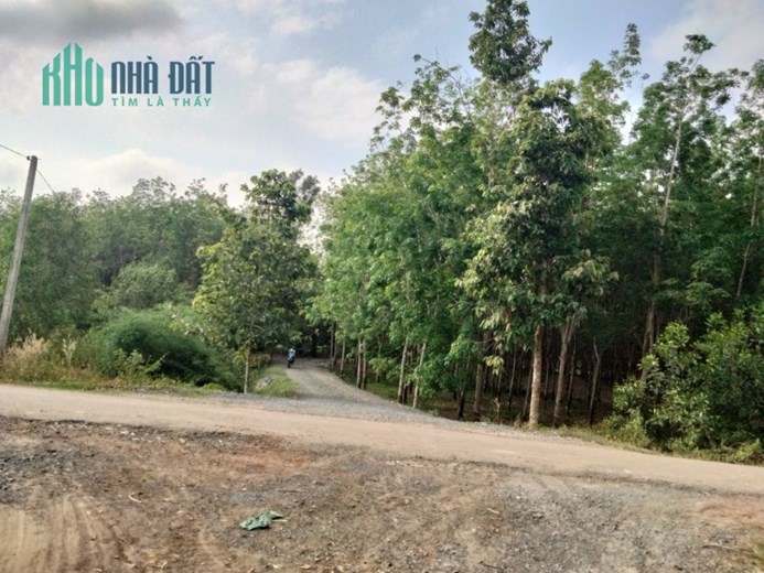 Đất vườn giá rẻ, sổ hồng sẵn, tiềm năng sinh lời cao cho khách mua