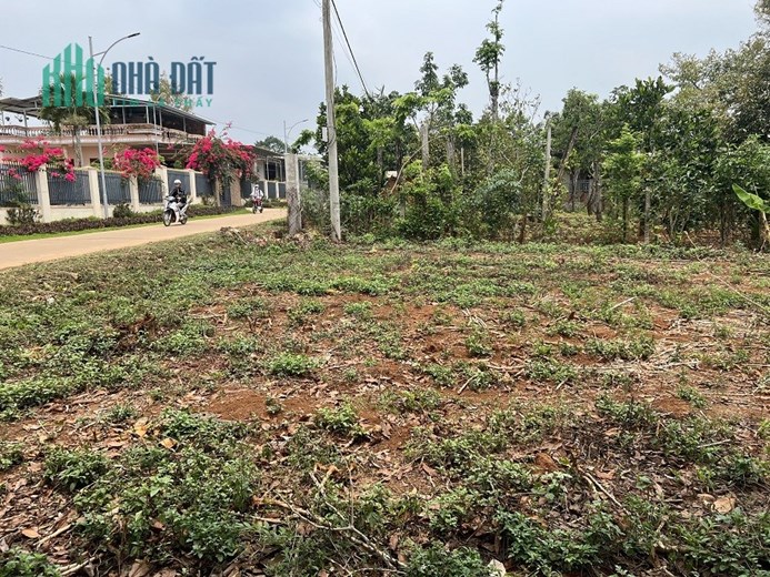 CHÍNH CHỦ KẸT TIỀN BÁN NHANH LÔ ĐẤT RỘNG VỊ TRÍ ĐẸP NGAY TRUNG TÂM TT. EAKAR