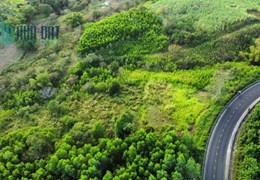 Ea bia- Sông Hinh- Phú Yên Chỉ 600tr.  4145m2 có 53m mặt tiền nhựa QL29