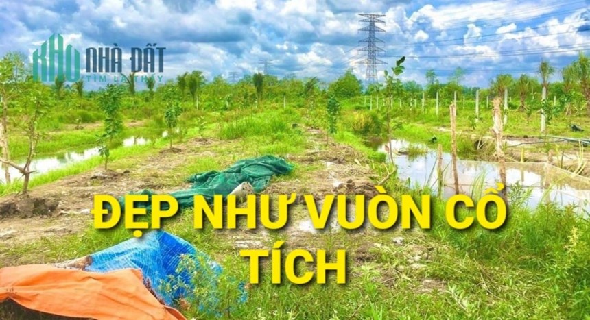 Bán vườn Cổ Tích 1269m2 có 2 tỷ Tân Thạnh Tây Củ Chi