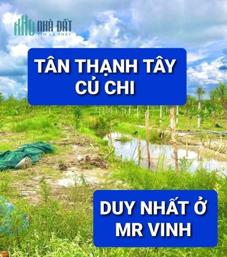 Bán vườn Cổ Tích 1269m2 có 2 tỷ Tân Thạnh Tây Củ Chi
