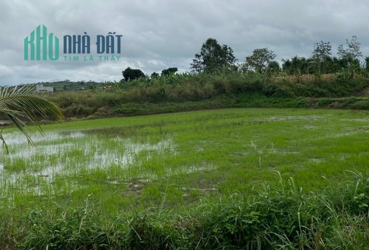 Mảnh đất giá rẻ, view BIẾN HÌNH  độc đáo nhất quả đất, nghỉ dưỡng hay đầu tư quá ok