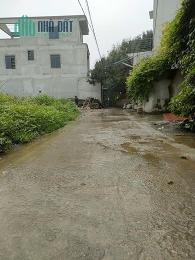 Bán đất xóm Gà Cổ Loa Đông Anh đường ô tô giá 2Xtr