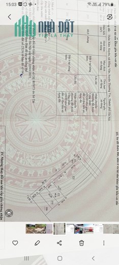 Bán lỗ 40.8m2 đất Xâm Xuyên, Hồng Vân chỉ nhỉnh 700 triệu quá rẻ.