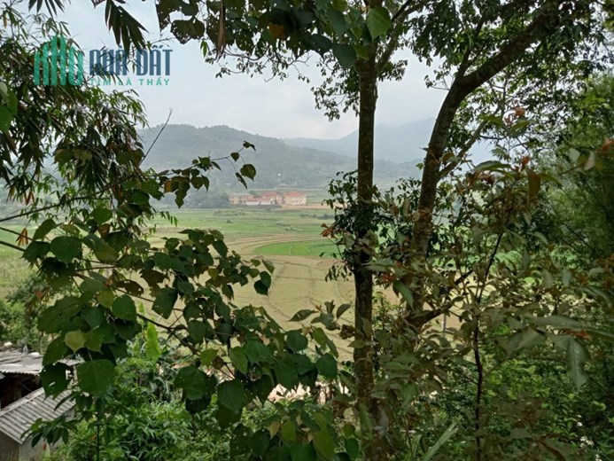 BÁN GẤP SIÊU PHẨM LÔ ĐẤT NGHỈ DƯỠNG VIEW PANORAMA CÁNH ĐỒNG CAO PHONG HOÀ BÌNH