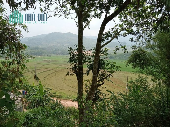 BÁN GẤP SIÊU PHẨM LÔ ĐẤT NGHỈ DƯỠNG VIEW PANORAMA CÁNH ĐỒNG CAO PHONG HOÀ BÌNH