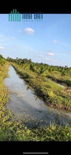 CHÍNH CHỦ BÁN NHANH Lô Đất - Siêu Đẹp - Siêu Đắc Địa Tại An Ngãi Trung - Ba Tri - Bến Tre