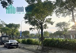 Mặt tiền đường 5m5 trung tâm Hải Châu, gần Trung Tâm Hành Chính Đà Nẵng giá siêu sốc chỉ 50tr/m2.