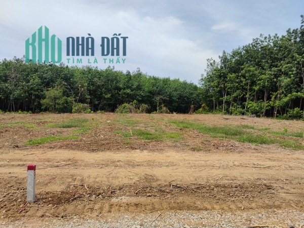 Đất vườn Châu Thành, giá siêu mềm, Sổ hồng riêng.