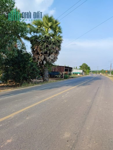 HƠN 2300m2 ĐẤT VƯỜN SỔ HỒNG RIÊNG - CƠ HỘI ĐẦU TƯ GIÁ RẺ CHO CÁC NHÀ ĐẦU TƯ THÔNG THÁI!!!