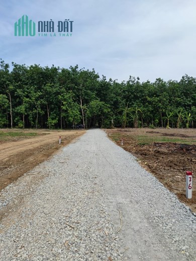 Hấp dẫn! Cơ hội đầu tư Chỉ với 379 nghìn/m2