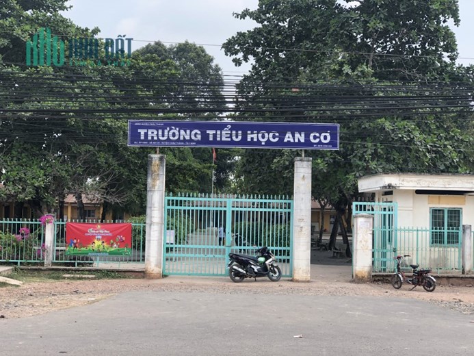 BÁN 2330M2 ĐẤT RỚT NHỰA 100M 2 SỔ RIÊNG