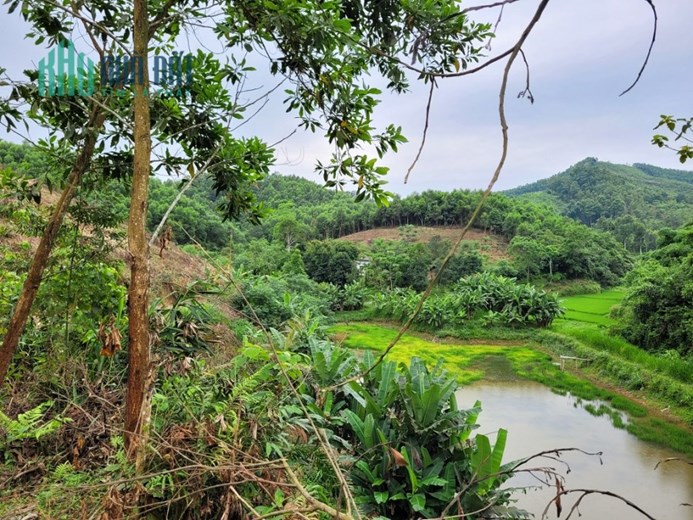 CHÍNH CHỦ Bán 11000m2 Đất Thổ Cư Vườn Đồi, CHỢ MỚI, BẮC KẠN, Chỉ Hơn 300K/m2