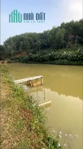 CHÍNH CHỦ Bán 11000m2 Đất Thổ Cư Vườn Đồi, CHỢ MỚI, BẮC KẠN, Chỉ Hơn 300K/m2