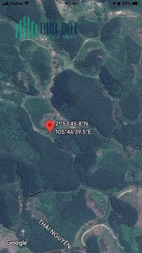 CHÍNH CHỦ Bán 11000m2 Đất Thổ Cư Vườn Đồi, CHỢ MỚI, BẮC KẠN, Chỉ Hơn 300K/m2