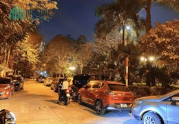 Hoa hậu Trần Quang Diệu ngắm công viên, vỉa hè ô tô, thang máy, KD, 75m2*7T, MT 4.2m, chỉ 19tỷ