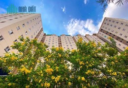CHÍNH CHỦ CHO THUÊ CĂN HỘ CHUNG CƯ Fist Home Thạnh Lộc QUẬN 12