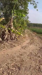 Chính Chủ Cần Bán 2 lô đất Diện Tích Rộng taị Tây Ninh