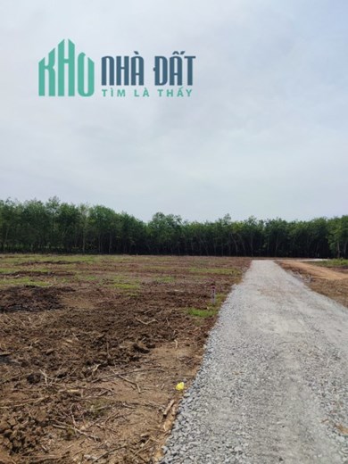 Đất vườn sổ hồng riêng, giá hạt dẻ phù hợp đầu tư hoặc nghỉ dưỡng