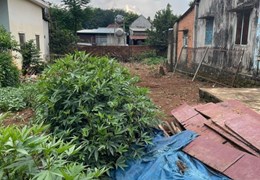 CHÍNH CHỦ CẦN BÁN 2 LÔ ĐẤT VÀ 2 CĂN NHÀ CẤP 4 Ở XÃ XUÂN THIỆN – HUYỆN THỐNG NHẤT – ĐỒNG NAI.