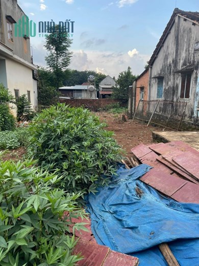 CHÍNH CHỦ CẦN BÁN 2 LÔ ĐẤT VÀ 2 CĂN NHÀ CẤP 4 Ở XÃ XUÂN THIỆN – HUYỆN THỐNG NHẤT – ĐỒNG NAI.
