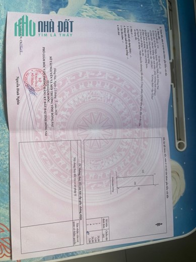 CHÍNH CHỦ CẦN BÁN 2 LÔ ĐẤT VÀ 2 CĂN NHÀ CẤP 4 Ở XÃ XUÂN THIỆN – HUYỆN THỐNG NHẤT – ĐỒNG NAI.