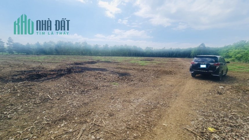 CHỦ KẸT TIỀN CẦN BÁN GẤP THỬA ĐẤT VƯỜN NGAY CẠNH SUỐI LỚN.