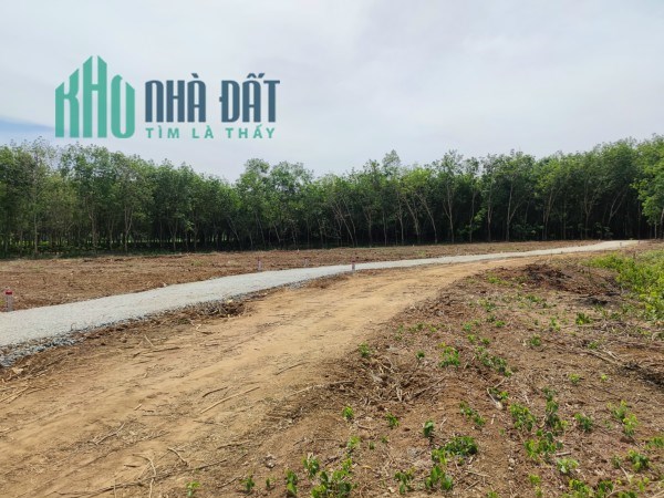 BÁN ĐẤT MẶT TIỀN ĐƯỜNG ĐẤT HUYỆN CHÂU THÀNH