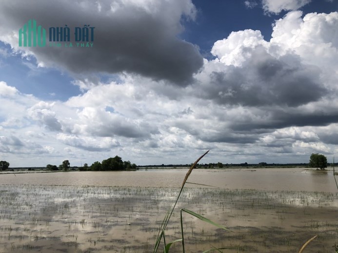 BÁN ĐẤT MẶT TIỀN ĐƯỜNG ĐẤT HUYỆN CHÂU THÀNH